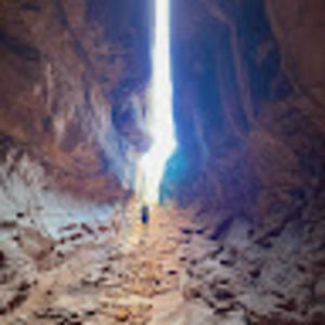 Meet your Posher, Henry